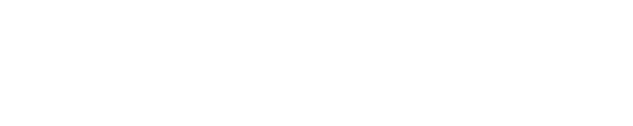 Indomind AI LLP Logo (Light)