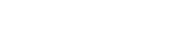 Indomind AI LLP Logo (Light)